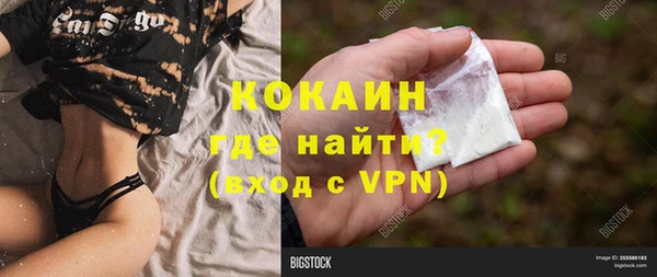 шишки Богородицк